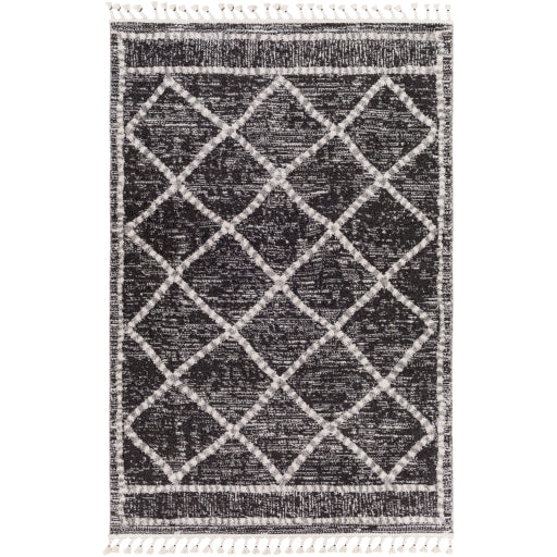 Surya Valencia Vlc-2300 Black Rug 2' X 3'