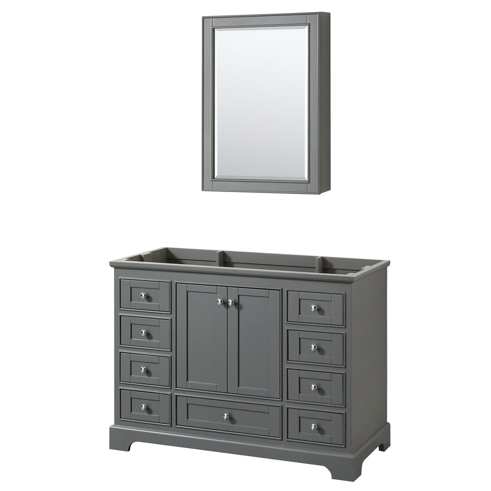 Deborah 48" Single Vanity in Dark Gray, No Top, No Sink, Medicine Cabinet