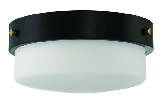 13.75" 2 Light Flushmount, X3214-FB