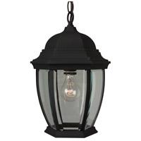 Bent Glass 1 Light Pendant in Matte Black with Clear Beveled Glass