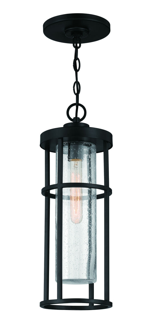 1 Light Pendant, ZA4211-MN