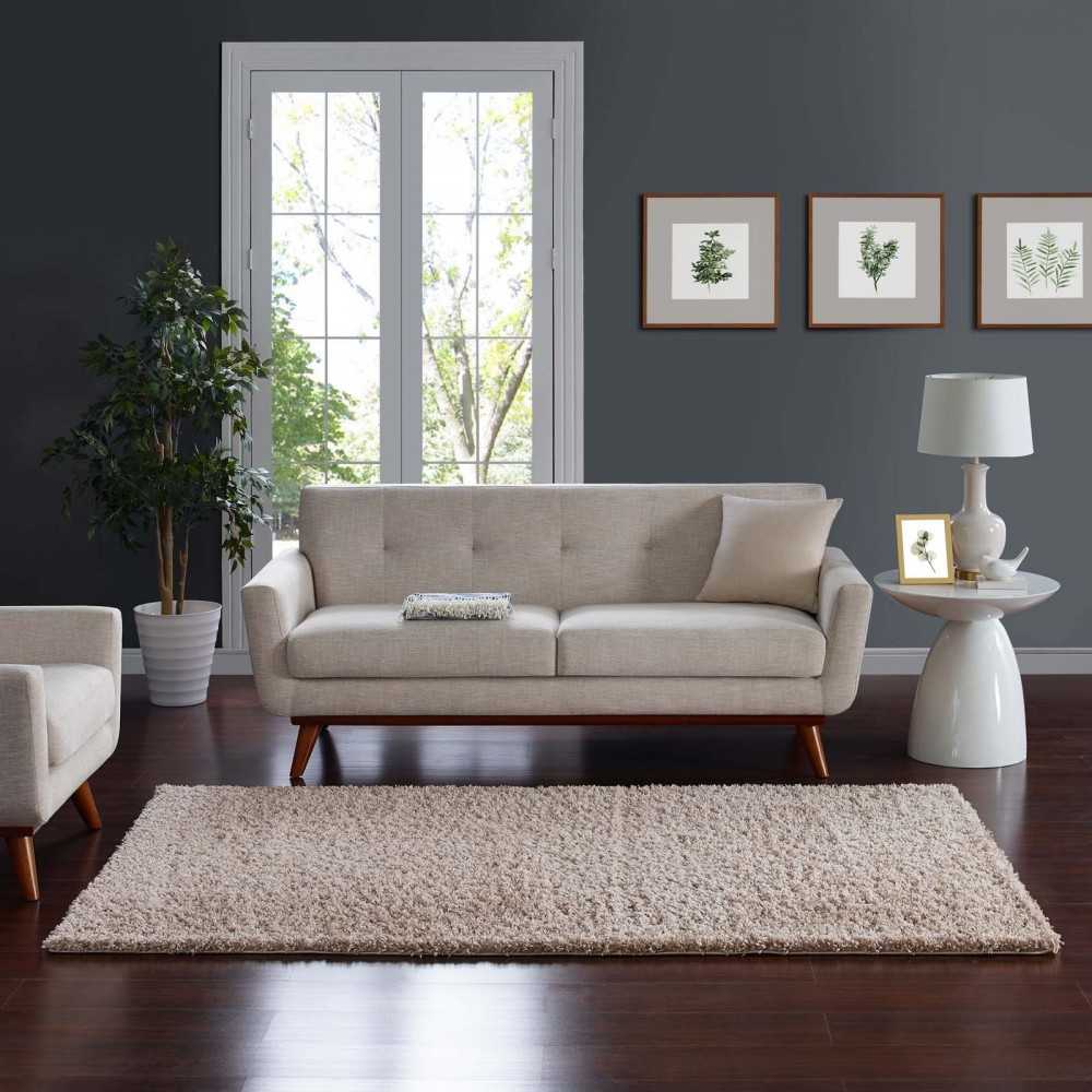 Enyssa Solid 5x8 Shag Area Rug, Beige and Ivory