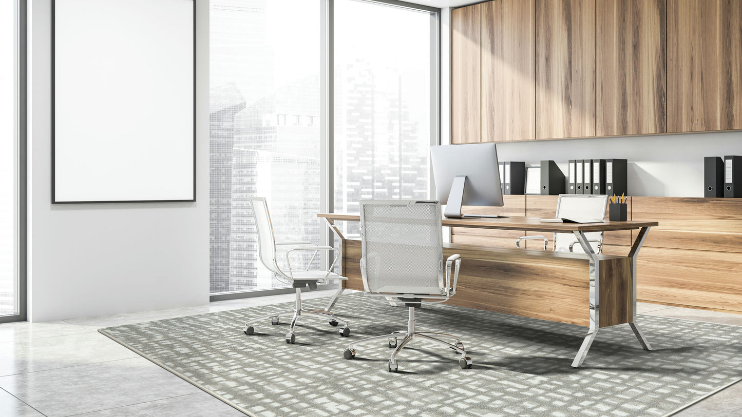 Fool's Gold 10'9" x 13'2" area rug in color Dove