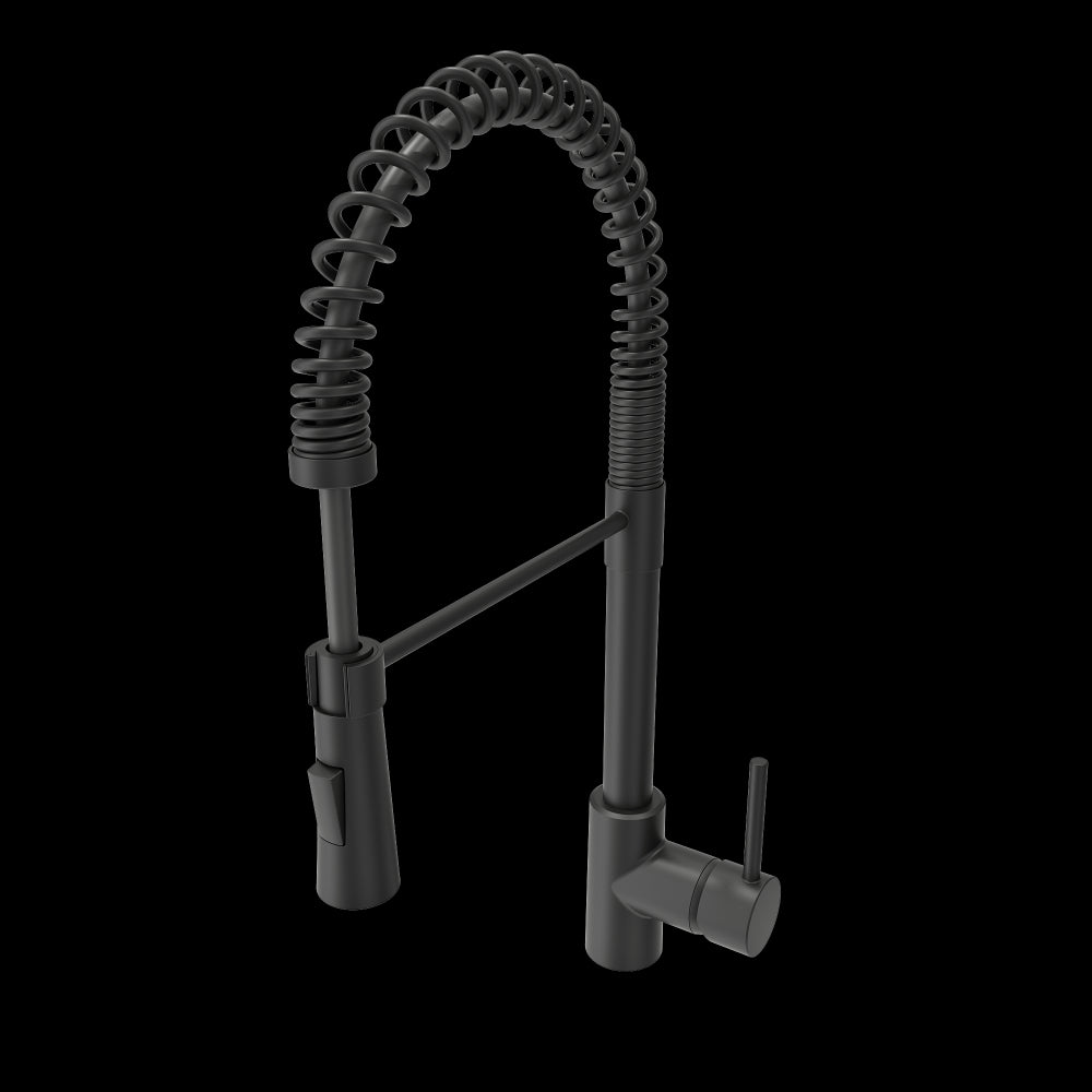 Livenza 2.0 Pull-Down Kitchen Faucet in Matte Black