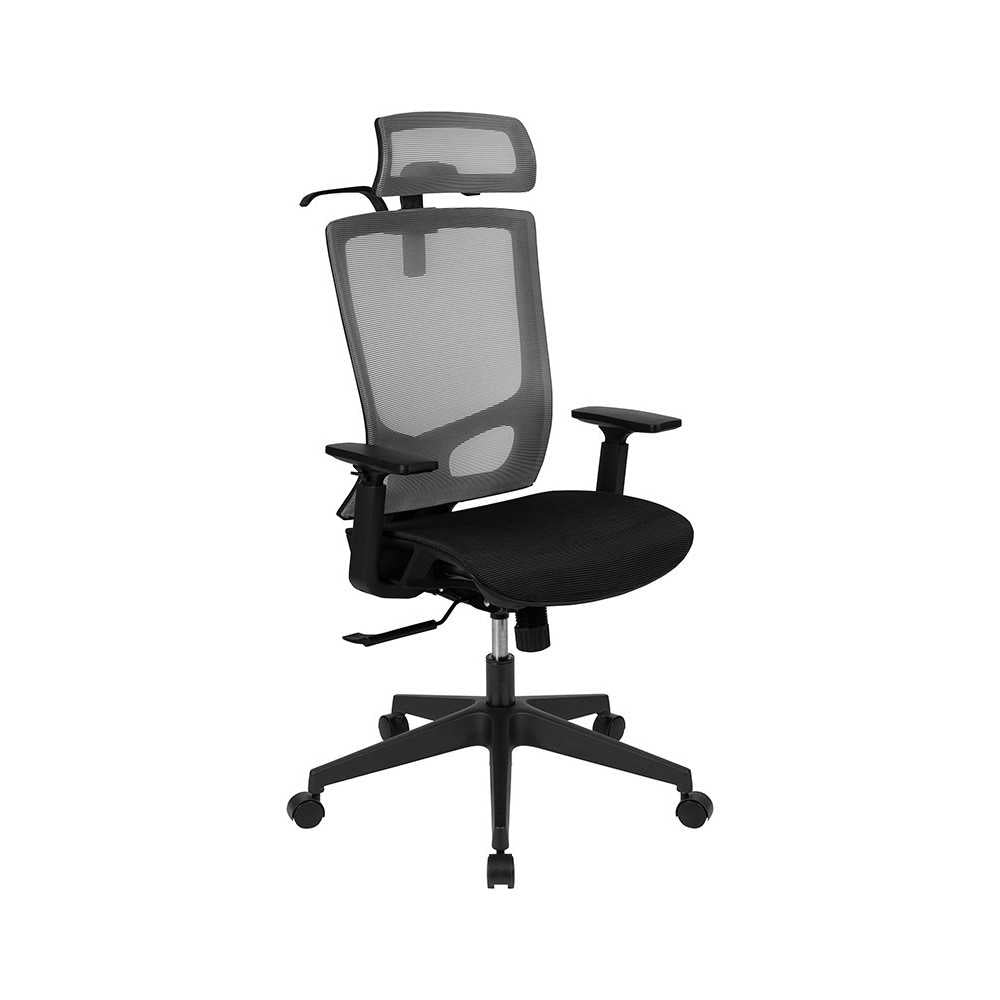 Office Chair with Synchro-Tilt, Pivot Adjustable Headrest, Lumbar Support, Coat Hanger & Adjustable Arms-Gray/Black