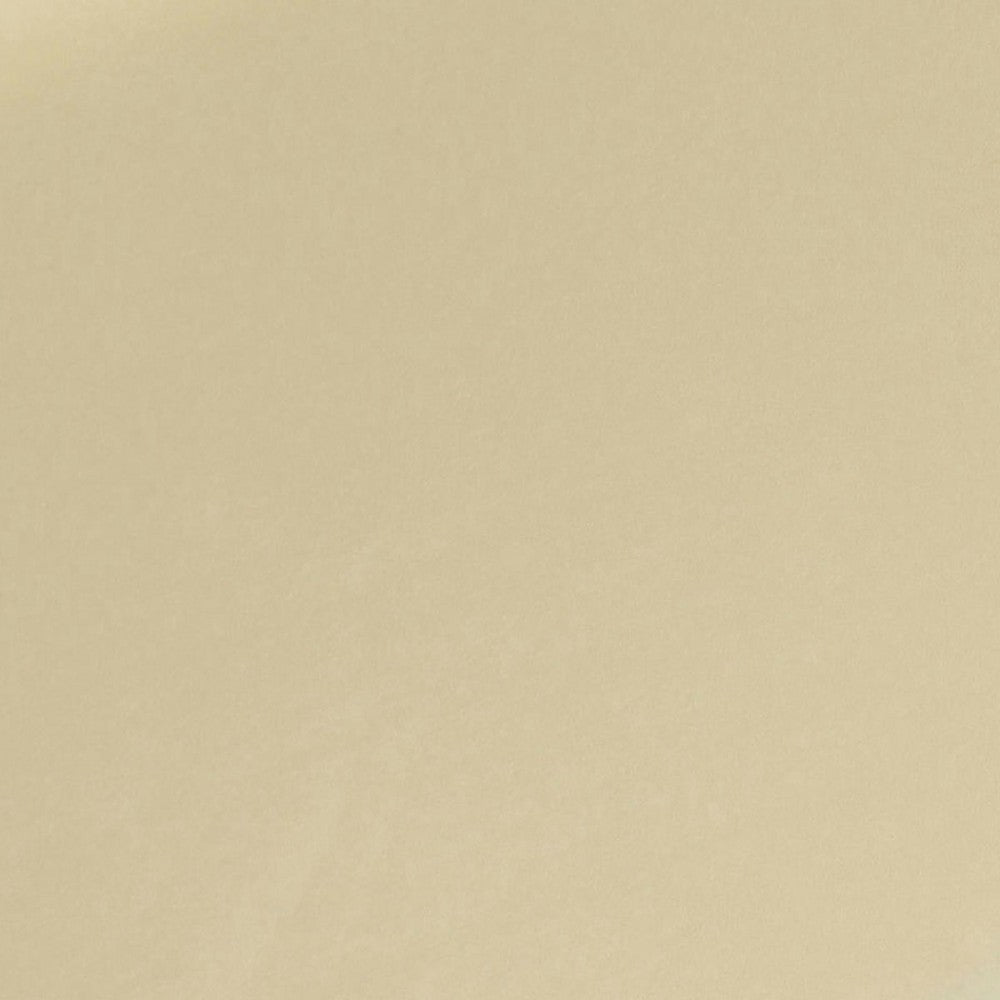 TOV Furniture Ziva Cream Velvet Storage Bench