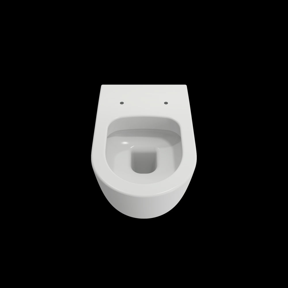 Vettore Wall-Hung Toilet Bowl in Matte White